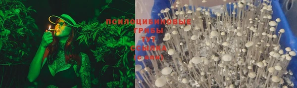 спиды Липки