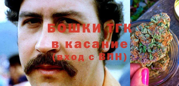 гашик Медногорск