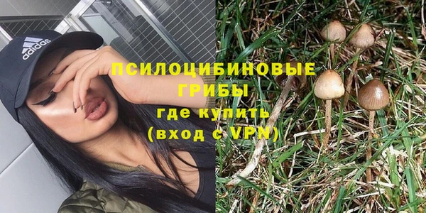 бошки Медвежьегорск