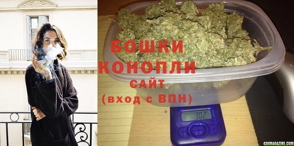 гашик Медногорск
