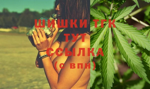 гашик Медногорск