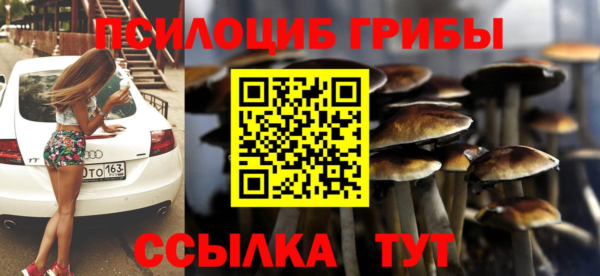 Псилоцибиновые грибы мицелий Мурино