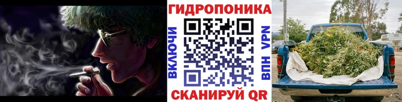 Марихуана планчик  Мурино 